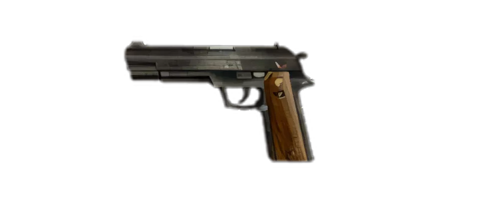 Image of colt