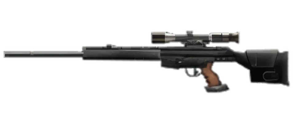Image of psg 1