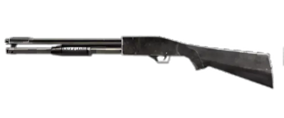 Image of winchester 1300