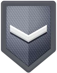 Icon of level 13