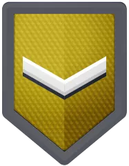 Icon of level 16