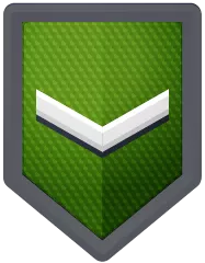 Icon of level 17