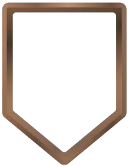 Icon of level 30 with bronze premium.