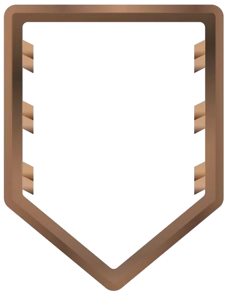 Level 10, bronze premium Icon of level 10 with bronze premium.