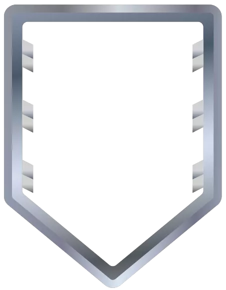 Level 29, silver premium Icon of level 29 with silver premium.